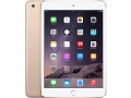 docomo iPad mini4 64GB　画像